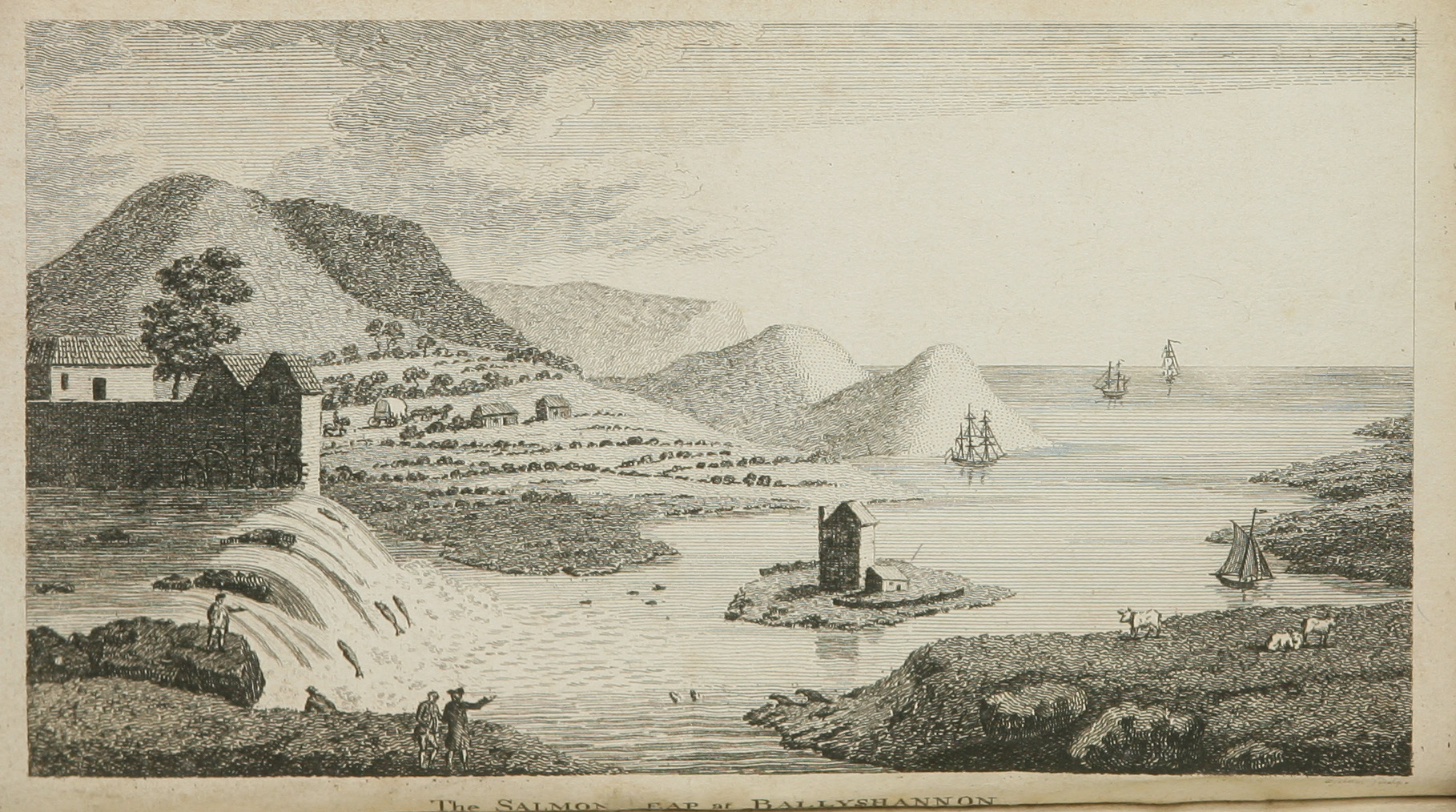The Salmon Leap at Ballyshannon