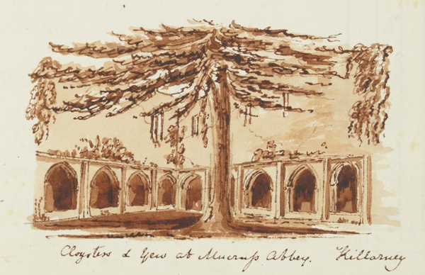 Cloysters and Yew at Muckross Abbey