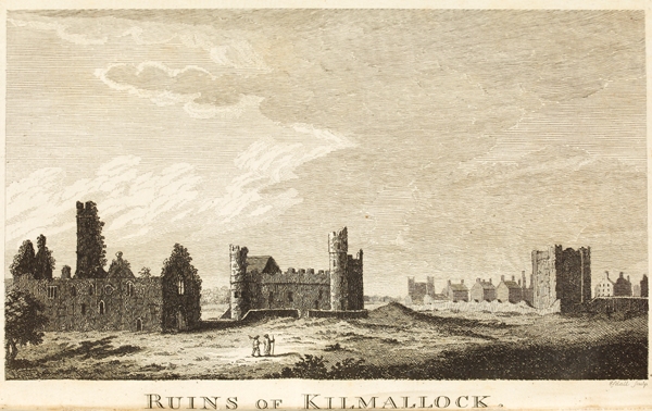Ruins of Kilmallock