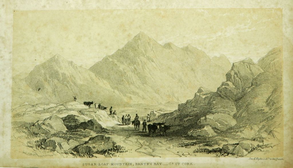 Sugar-Loaf Mountain, Bantry Bay - Co. of Cork