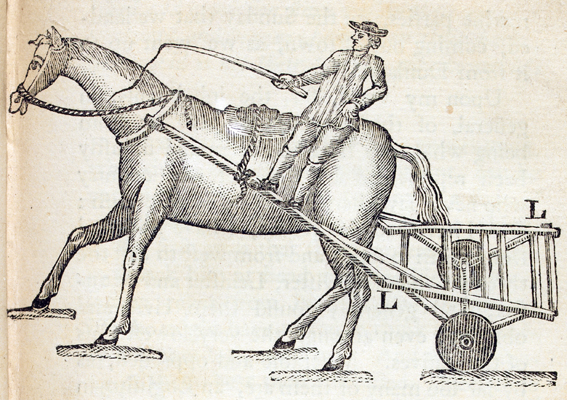 Chaise-marine or Jaunting Car