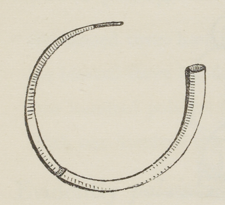Ancient Irish Horn