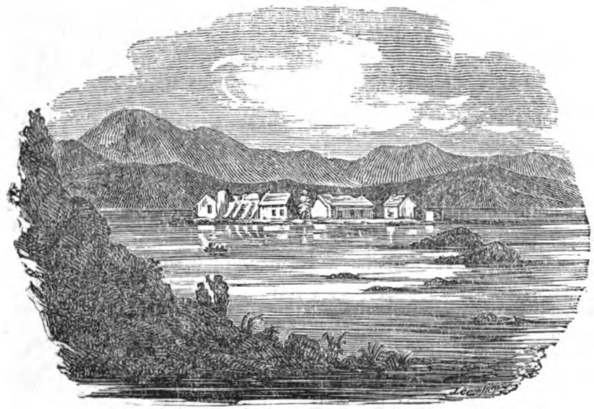 View of St. Patrick’s Purgatory, on Lough Derg