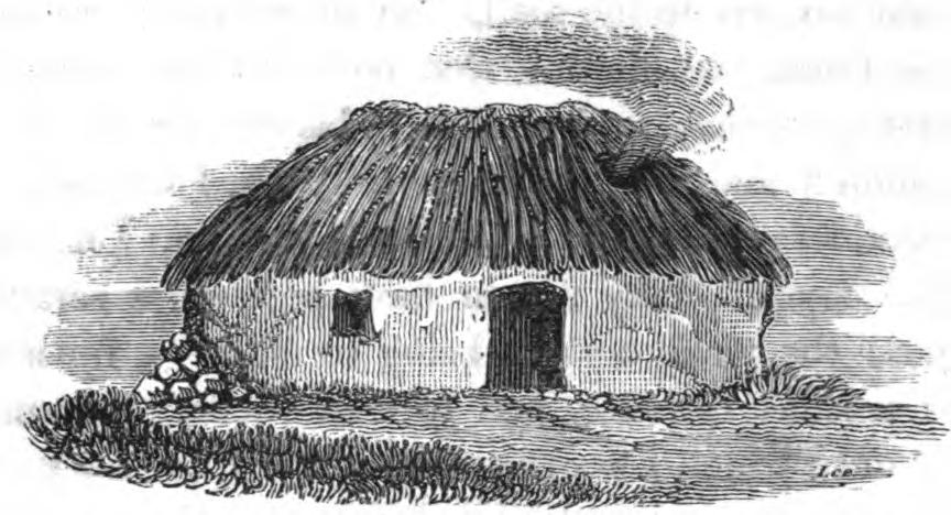 Common sort of Mayo Mud-Cabin