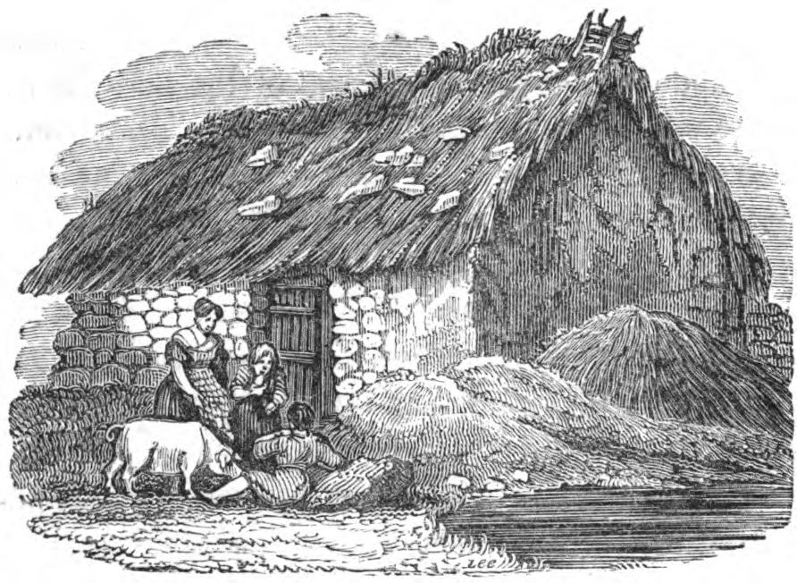 Hovel near the foot of the Reek