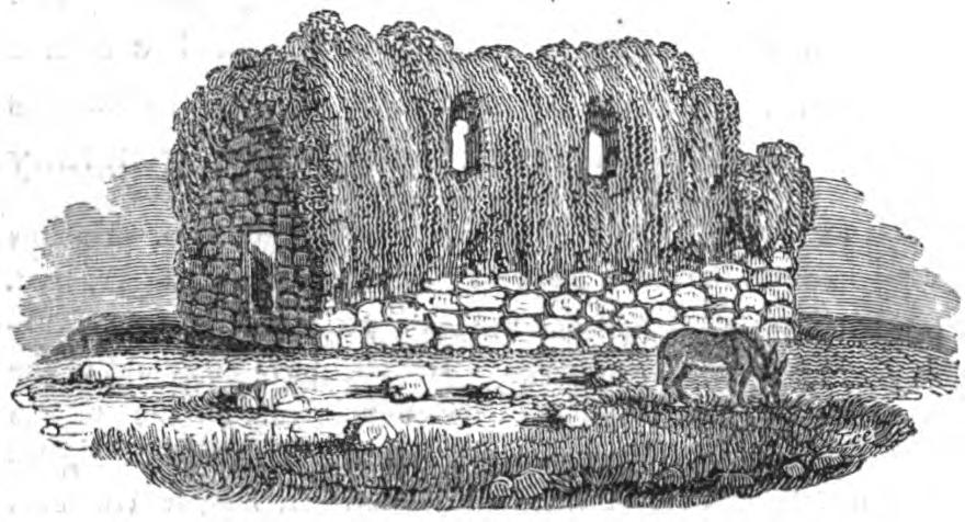 Cargin Castle, from the shores of Lough Corrib