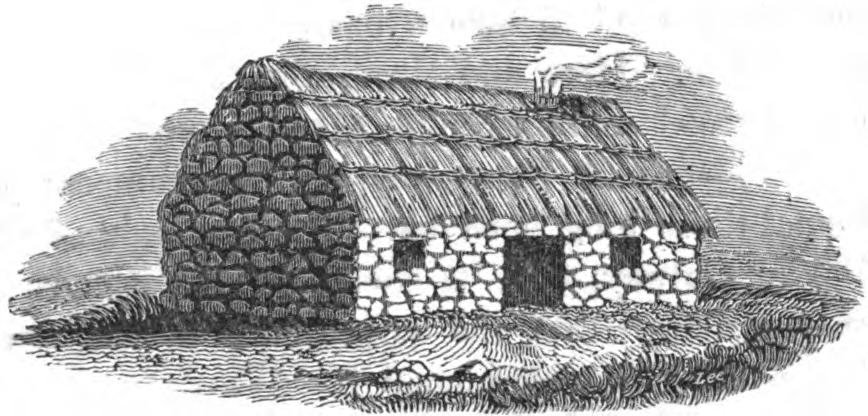 Better sort of Connaught cabin