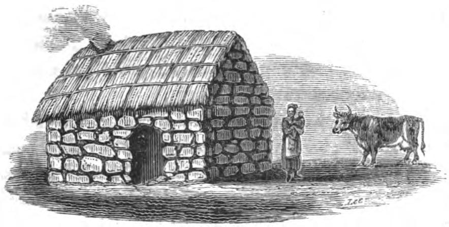 Worst sort of Mayo Stone-Cabin