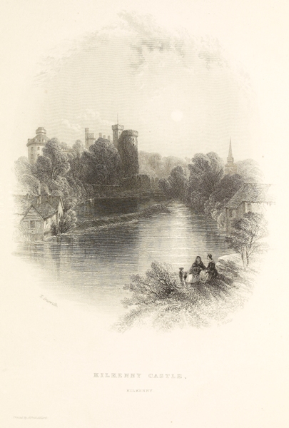 Kilkenny Castle, Kilkenny