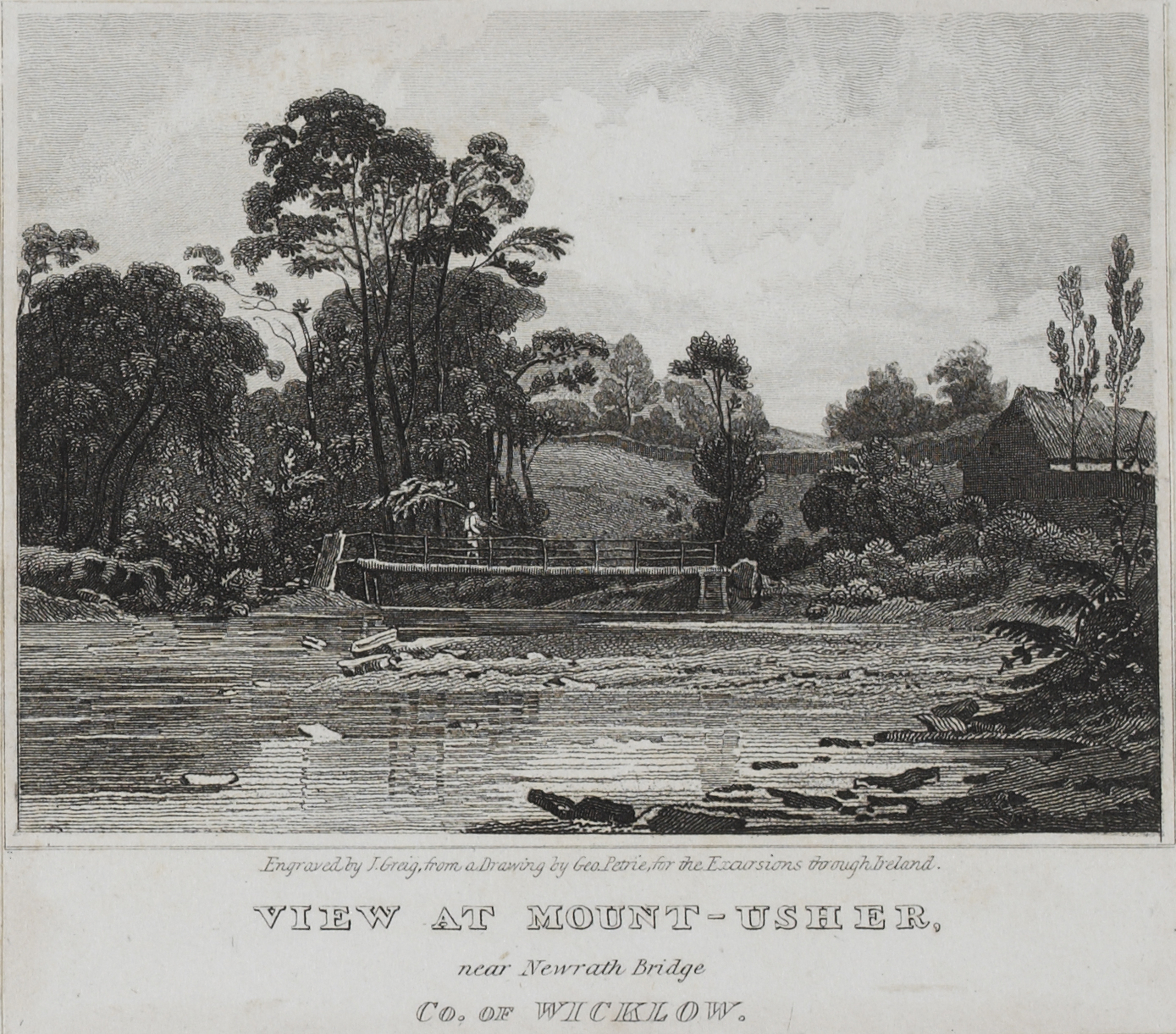 View at Mount-Usher, near Newrath Bridge