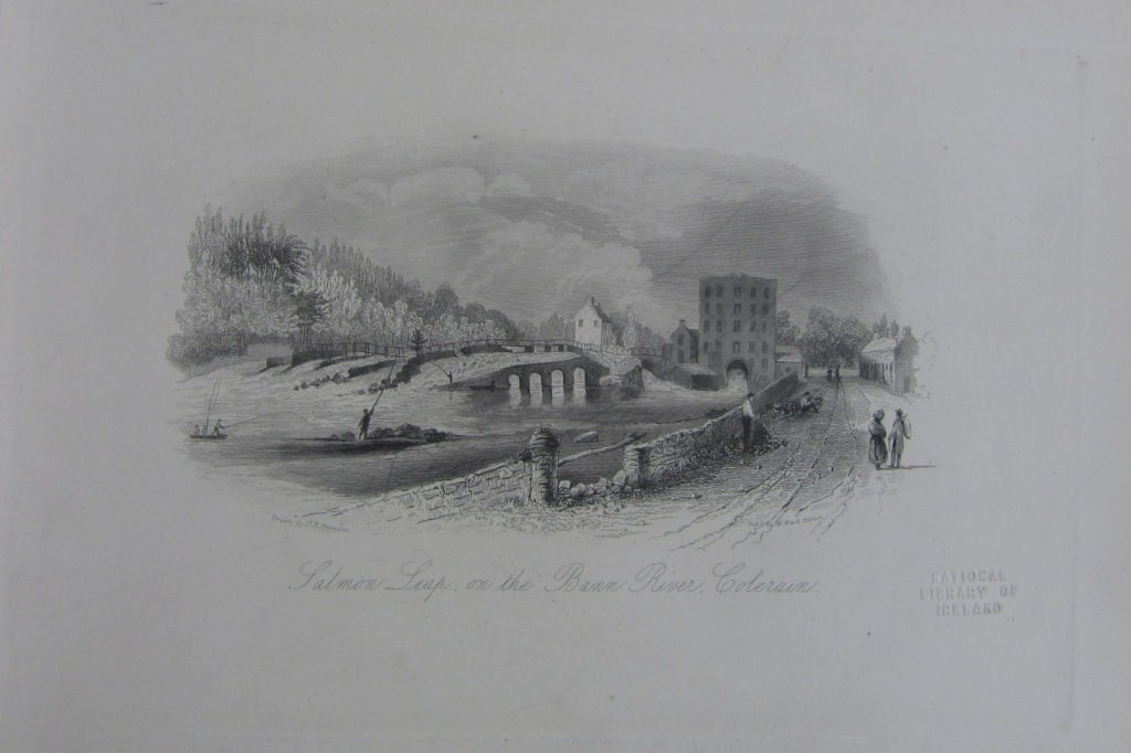Coleraine Salmon Leap