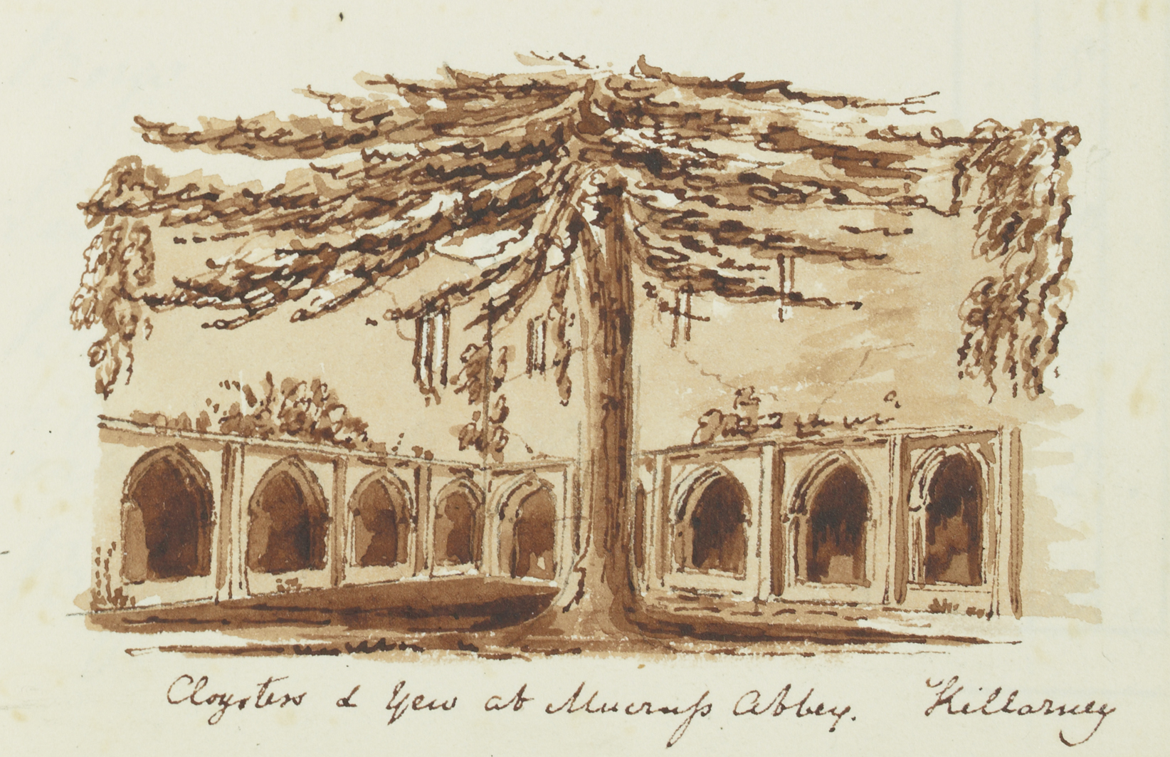Cloysters and Yew at Muckross Abbey