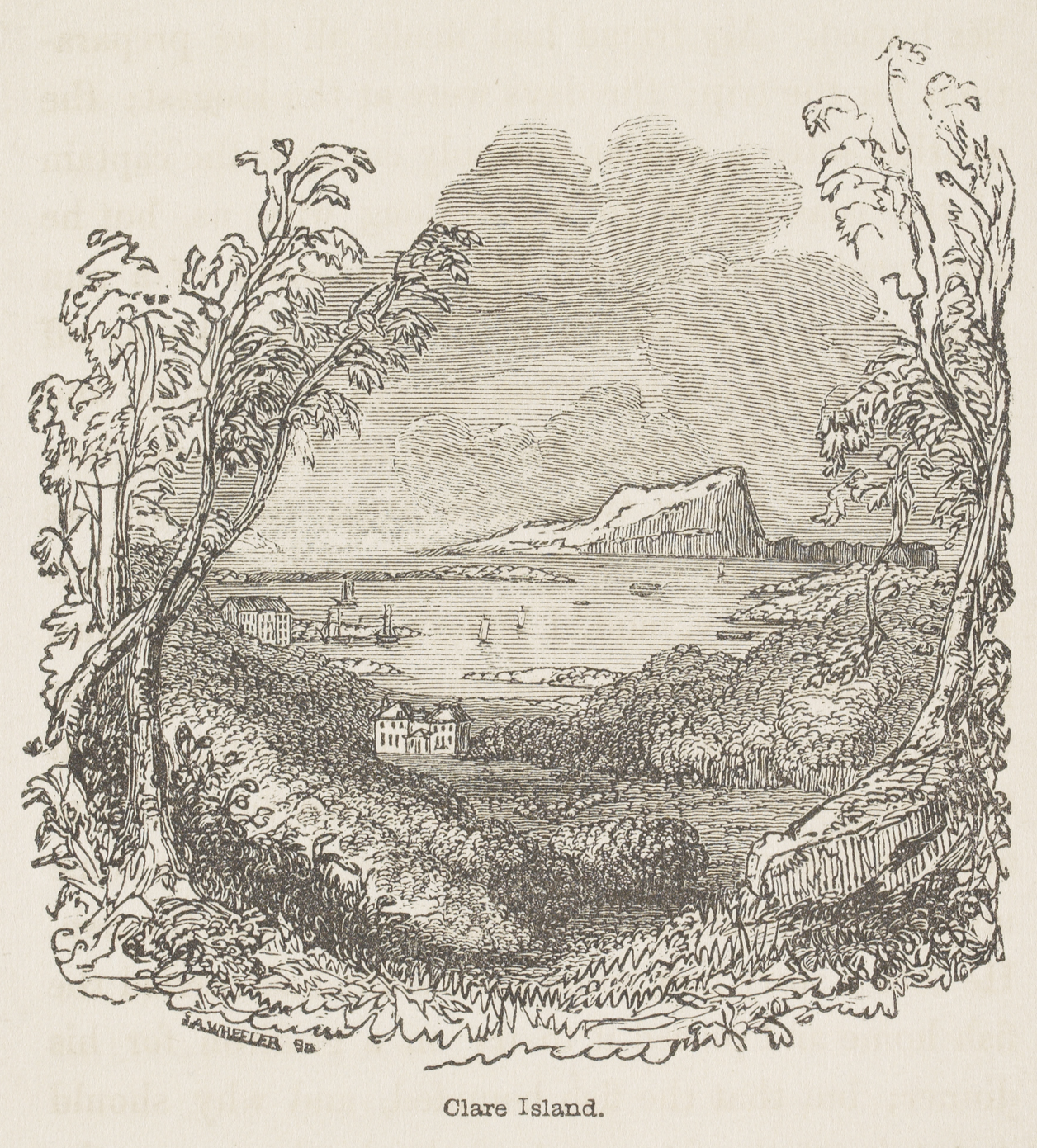 Clare Island