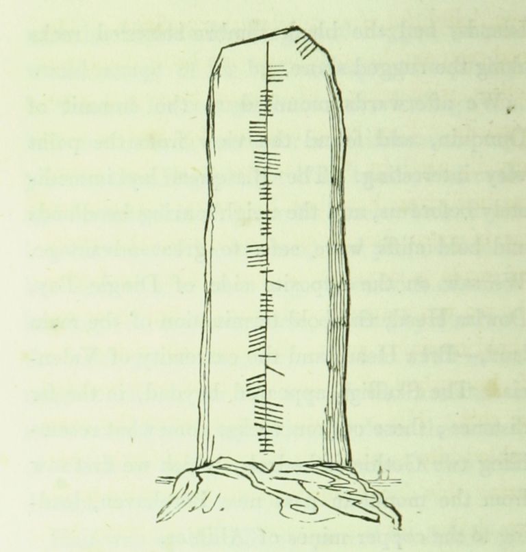 Inscribed stone, Coumeenole