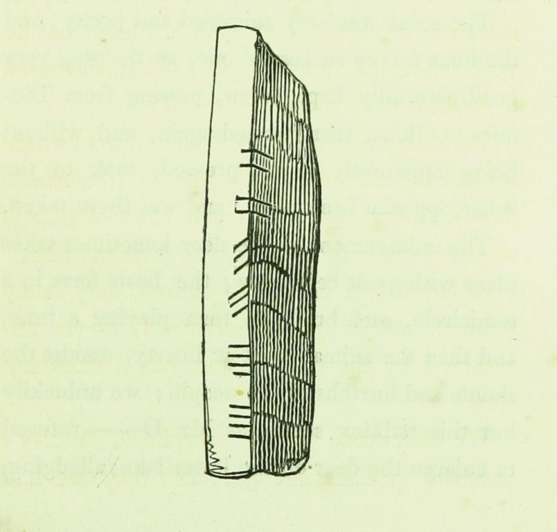 Ogham stone, Aghadoe