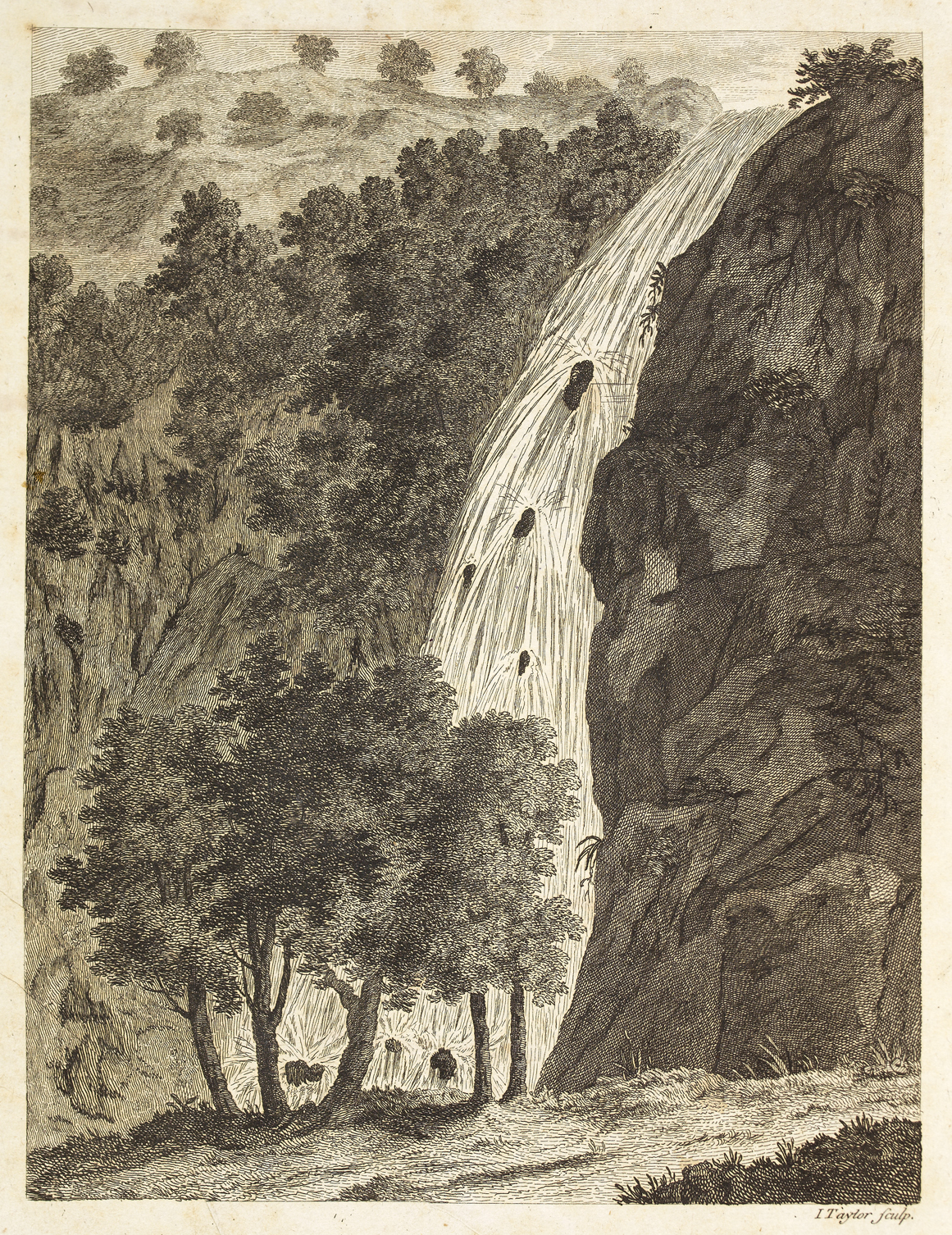 Powerscourt Waterfall