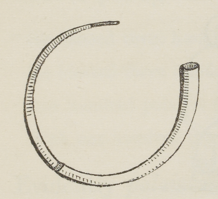Ancient Irish Horn