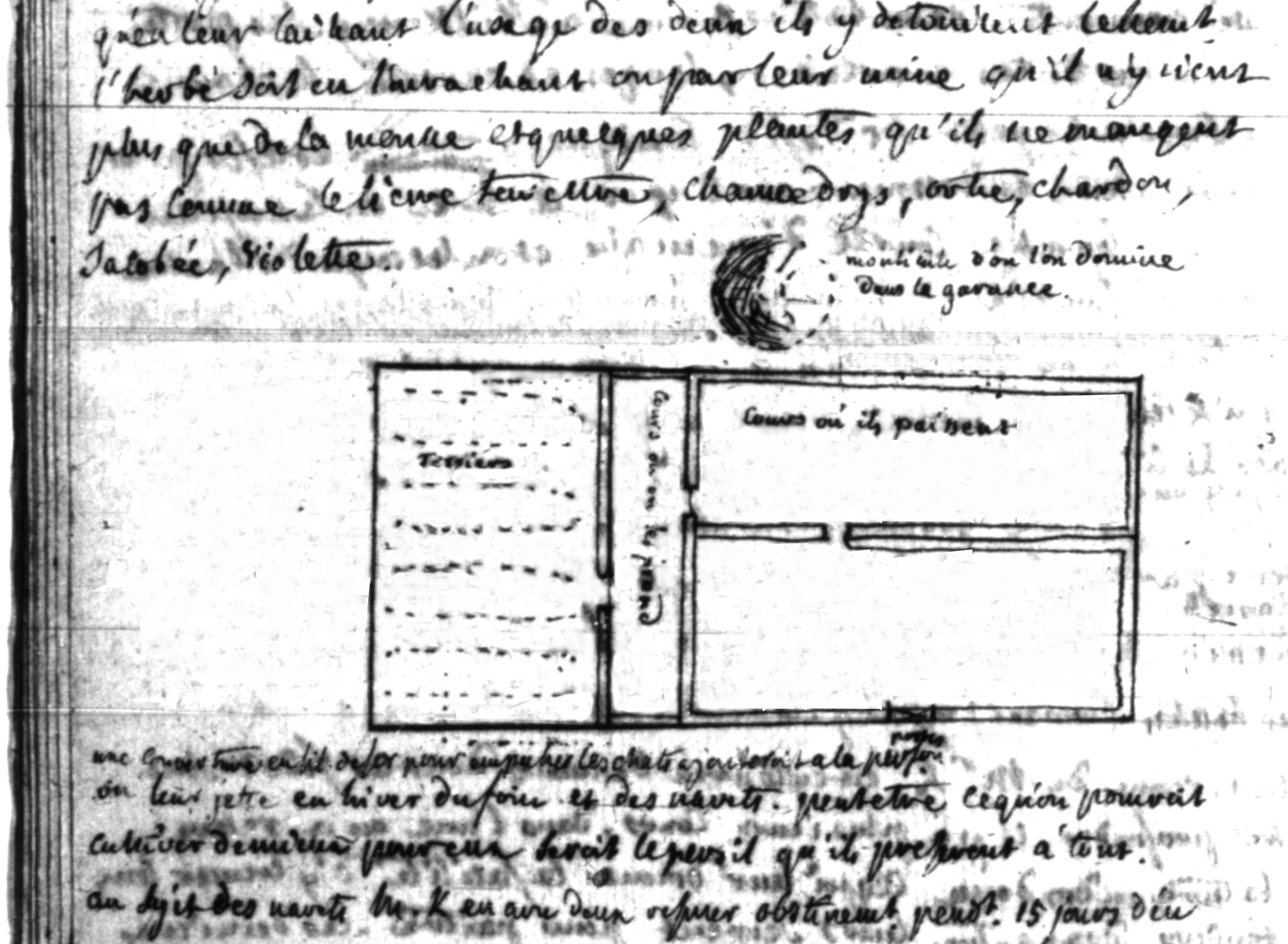 Plan d'une garenne