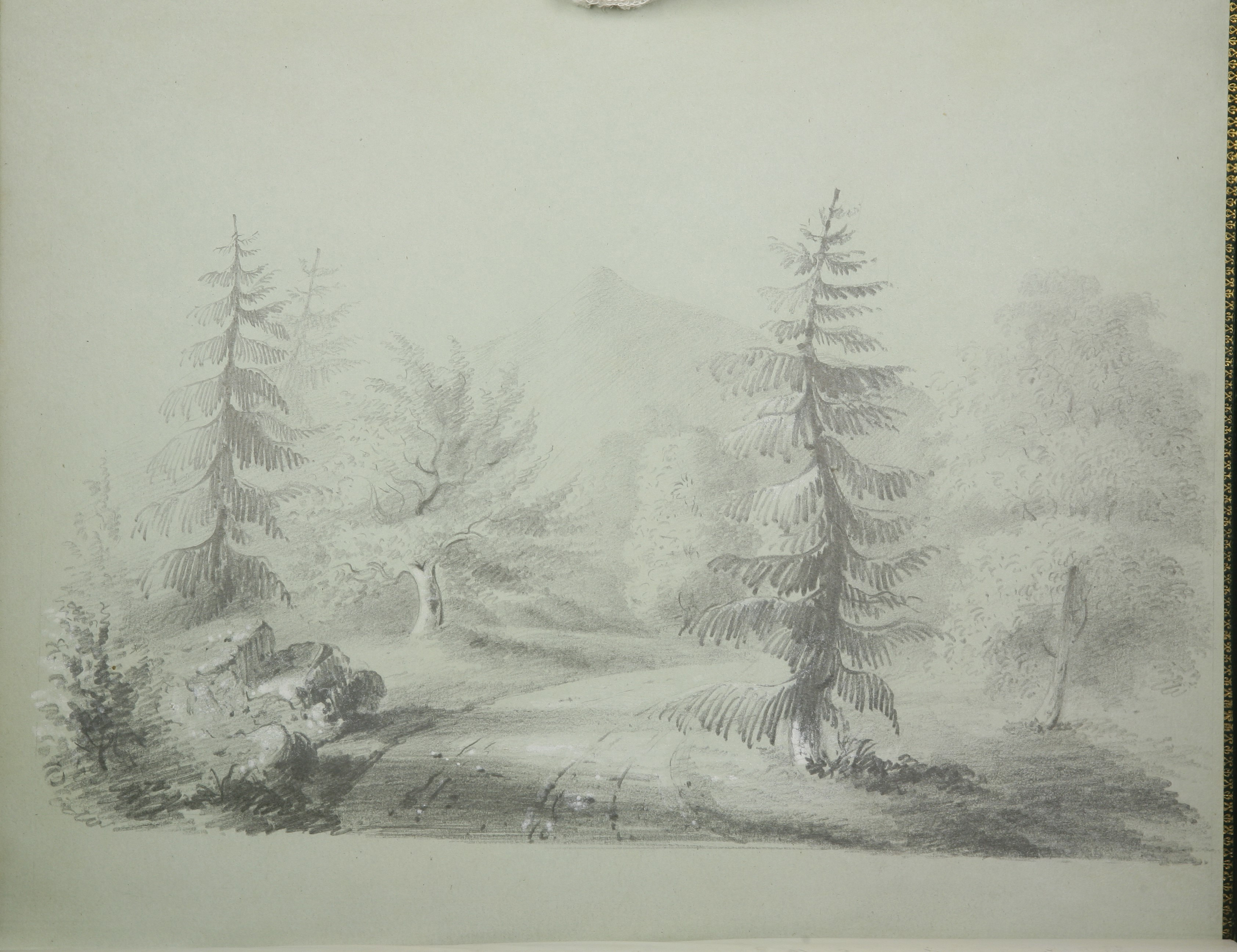 Path in Glen of the Downs